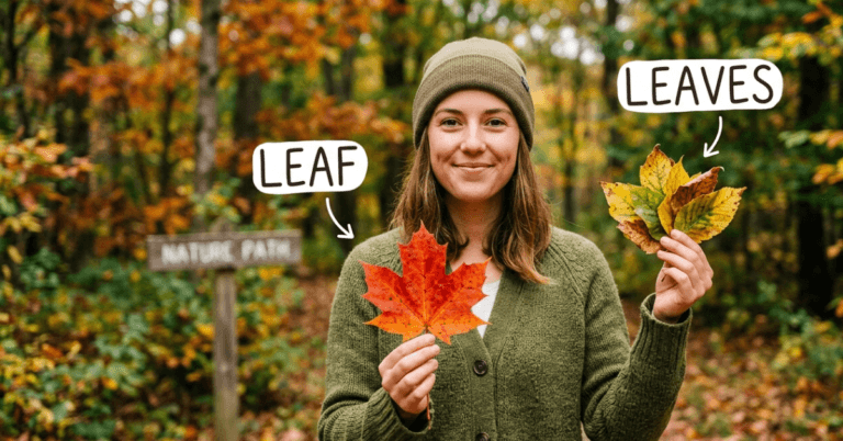 Leafs or Leaves: Which One Is Correct?