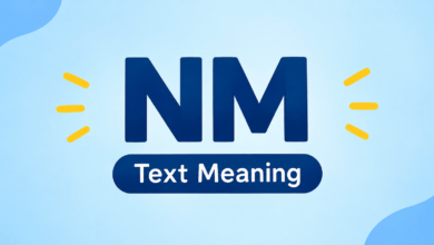 nm meaning text